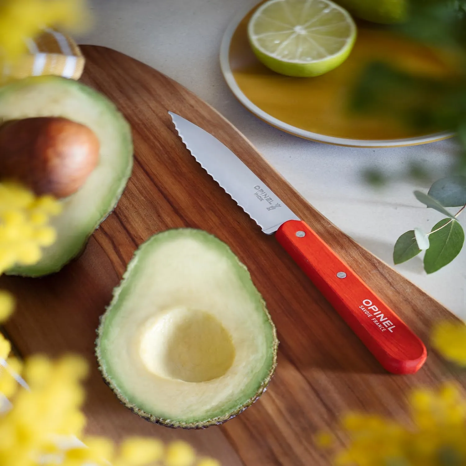 OPINEL Essential No.113 Serrated Paring Knife, Hornbeam Handles, Made in France (Blue)