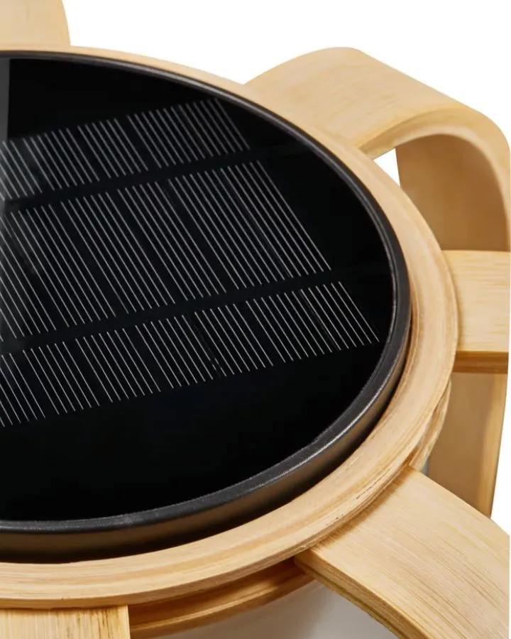 Organic Modern Solar-Powered Lamp