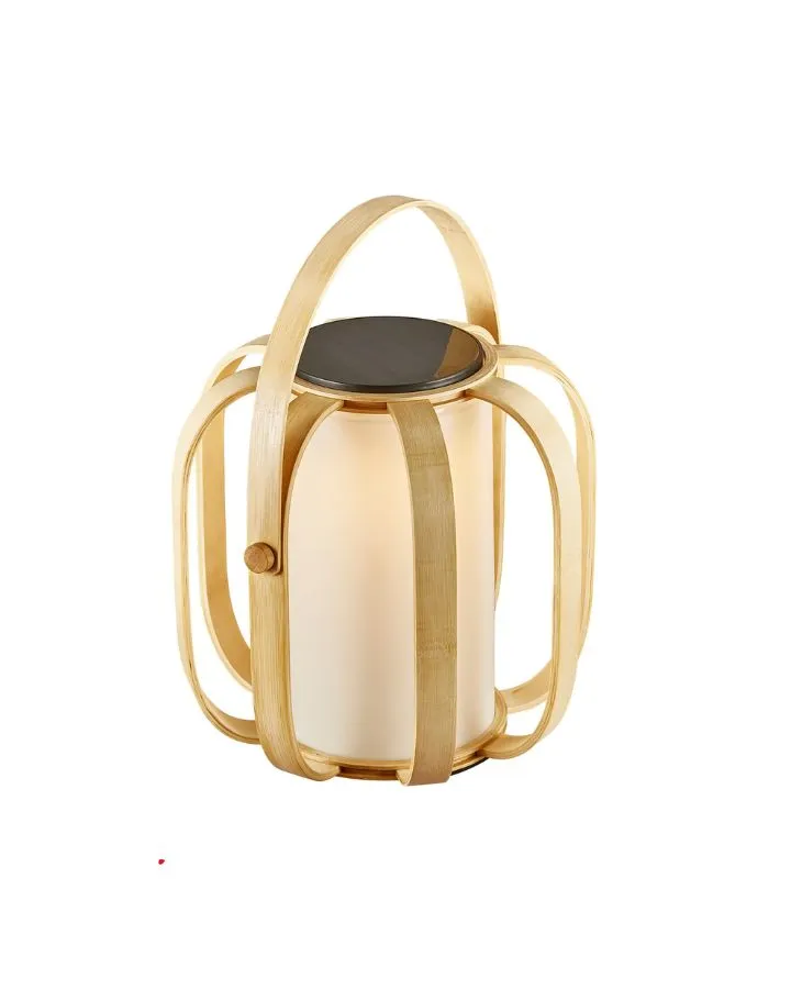 Organic Modern Solar-Powered Lamp