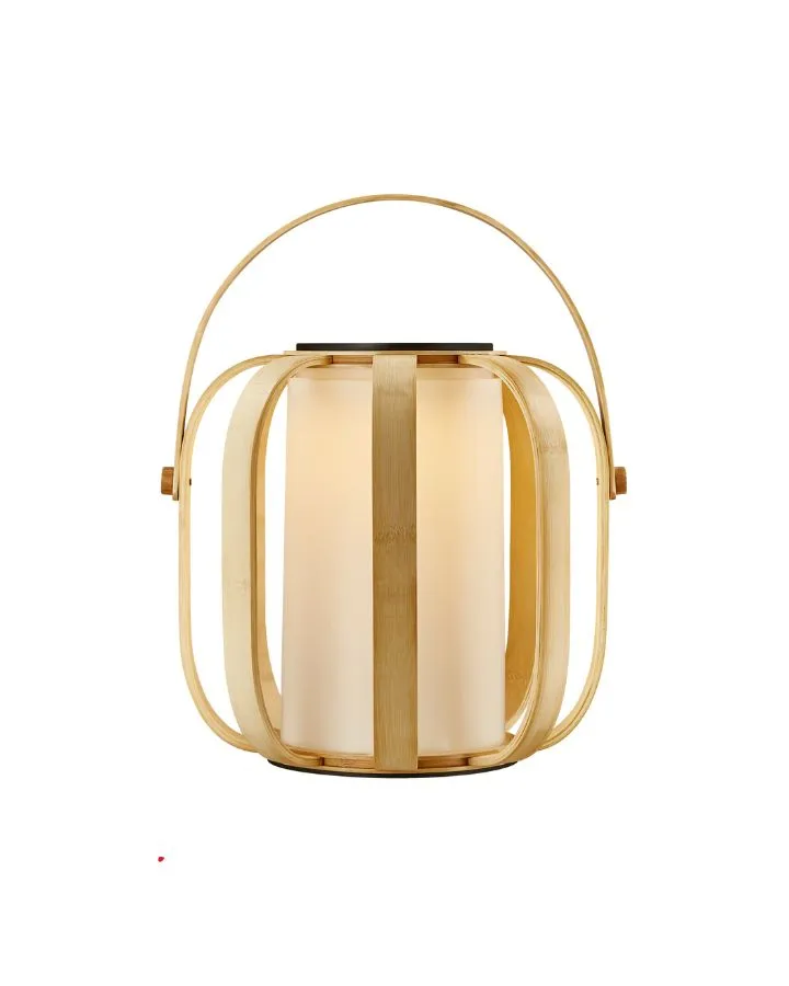 Organic Modern Solar-Powered Lamp