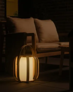 Organic Modern Solar-Powered Lamp