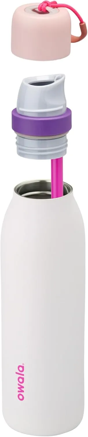 Owala FreeSip Twist Insulated Stainless Steel Water Bottle with Straw for Sports and Travel, BPA-Free, 18-oz, Pink/Purple (Dreamy Field)