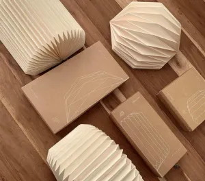Paper Lantern - Pentagon