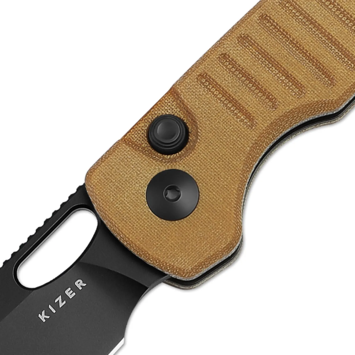 Parakeet | Drop Point Nitro-V   Micarta