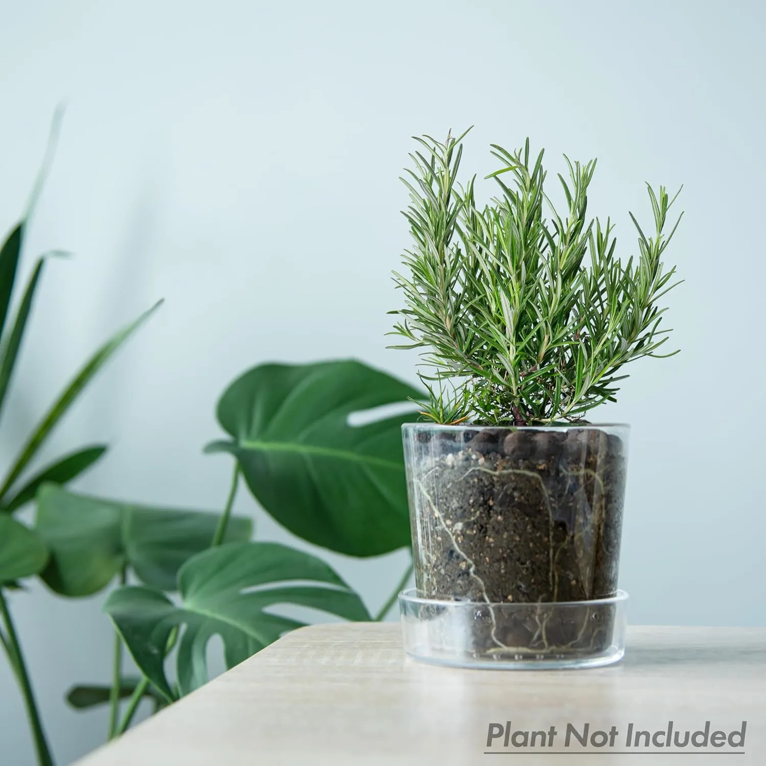 Phoenix Vine 4.5 Inch Clear Acrylic Planter Pot with Tray, Orchid Pot with Drainage Holes, Deep Saucer for Bottom Watering, Transparent Containers for Indoor Plants, Herbs, Set of 3, 91-A-E-3