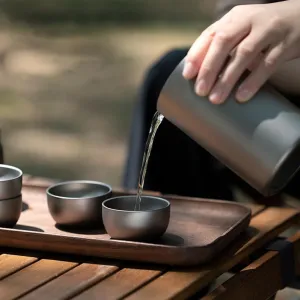 【Pure Titanium Tea Set】 1 Pot   4 Cups & Dual-Layer Filter | Non-toxic & Coating-Free Baby-Safe Tea Ware | Portable Heat-Resistant Camping & Travel Teapot Set | Gift Box