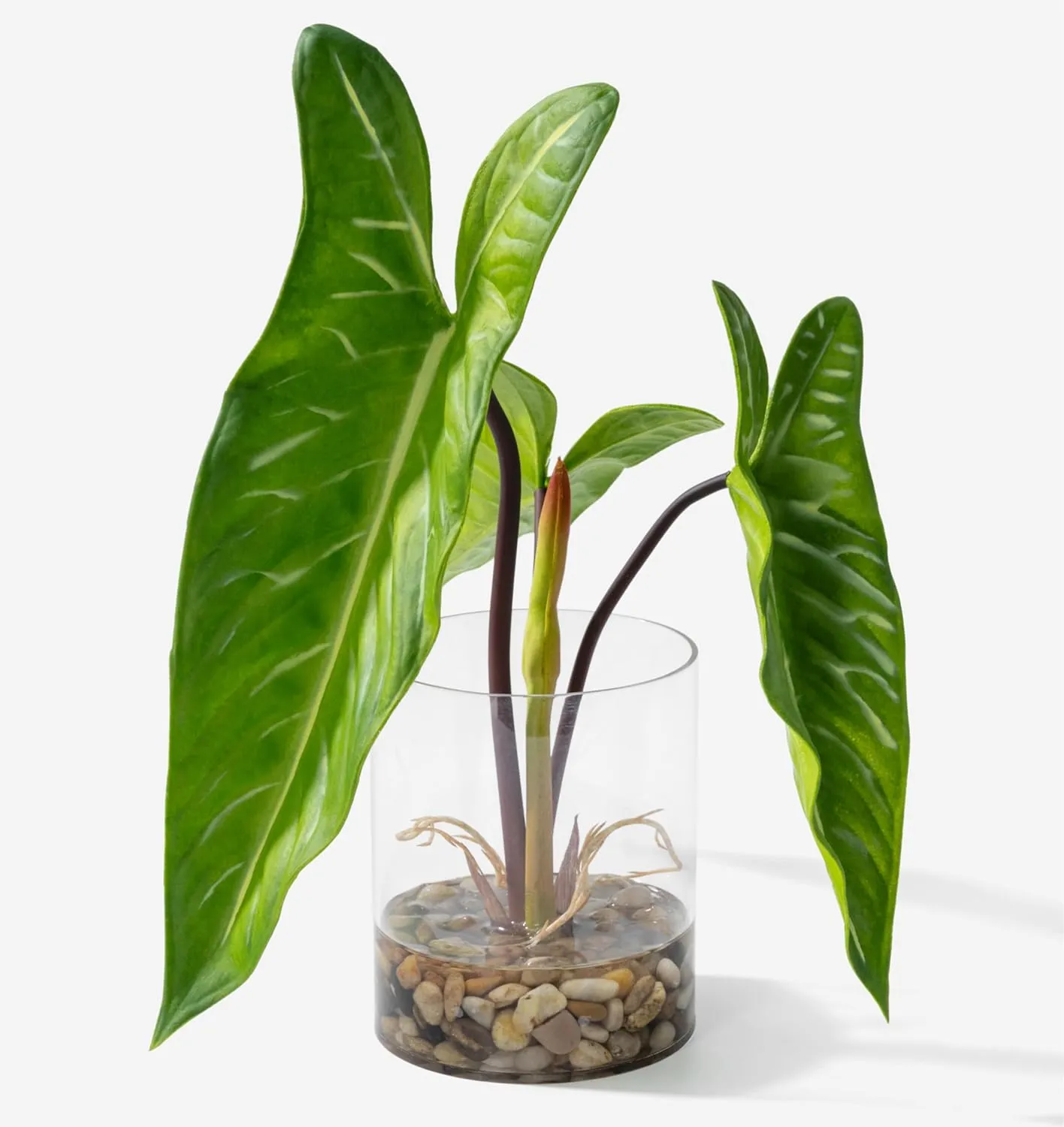 Realistic Faux Plant in Clear Pot with Artificial Water, Narrow Arrowhead Leaves. Artificial Plants Indoor and Outdoor