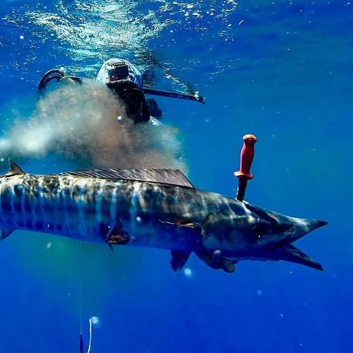 Red Tide Knife