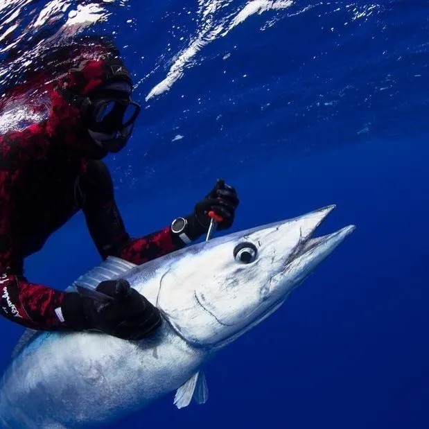 Red Tide Knife
