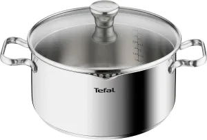 T-Fal 24cm 4.7L Stainless Steel Stockpot with Glass Lid and Steam Outlet, Silver
