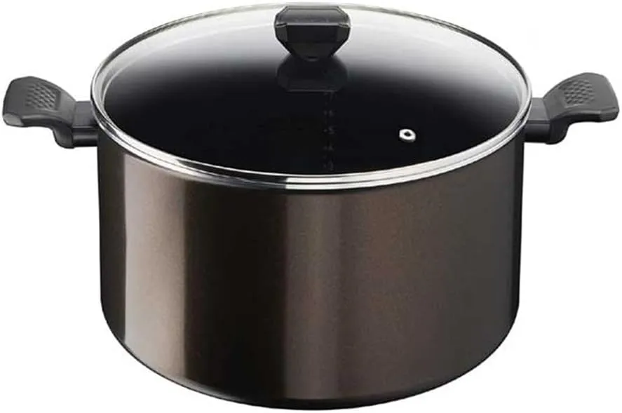TEFAL B5546902 Easy Cook & Clean Pot 30 cm