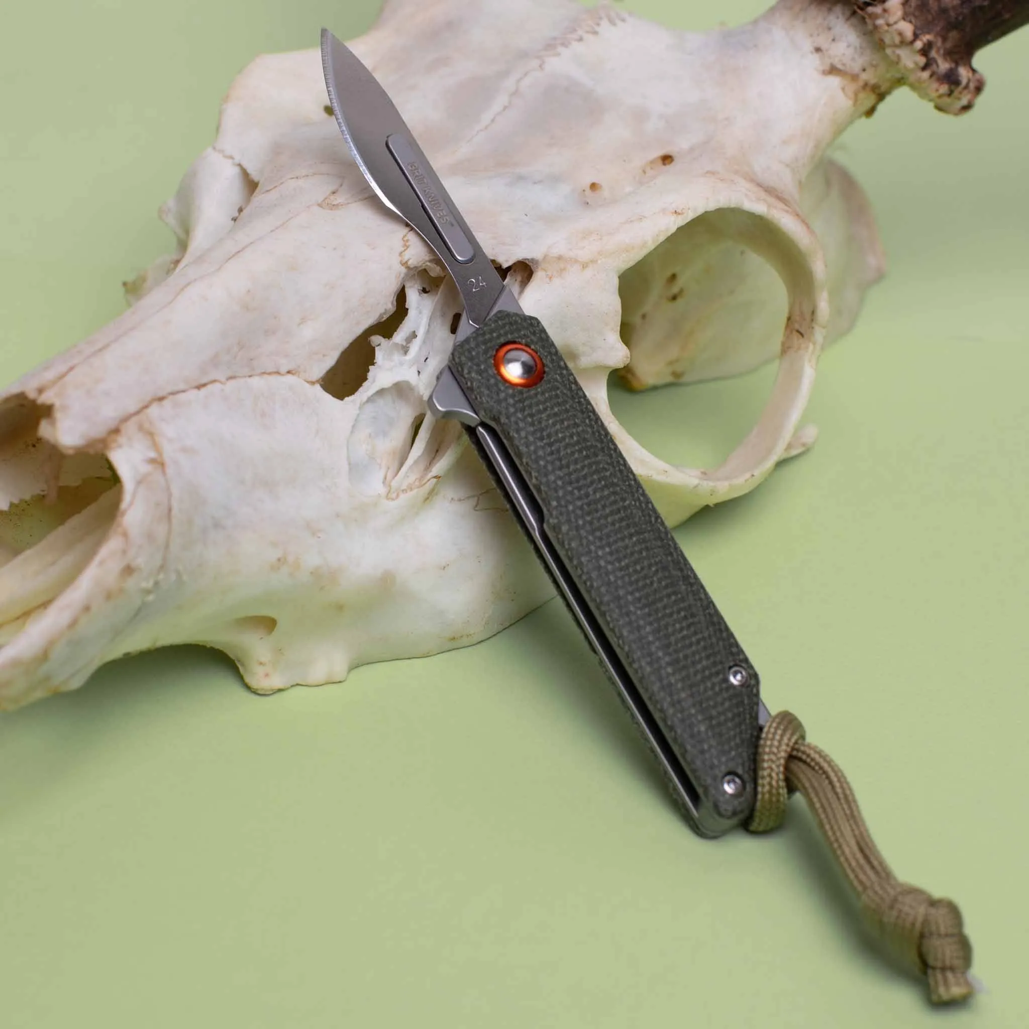 The_Hunter's Scalpel