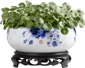 TOIVO Lotus Bowl Planter，White Ceramic Lotus Planter with Plastic Base 7.8”，Lotus Shape Hydroponic Water Lily Flower Pot