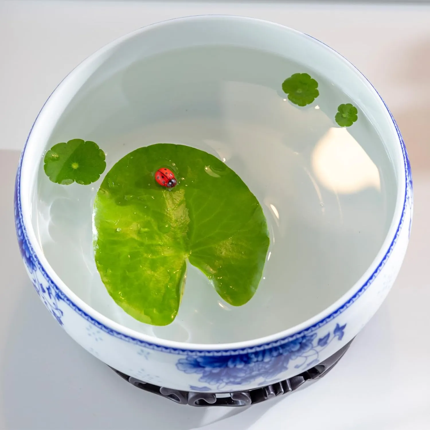 TOIVO Lotus Bowl Planter，White Ceramic Lotus Planter with Plastic Base 7.8”，Lotus Shape Hydroponic Water Lily Flower Pot