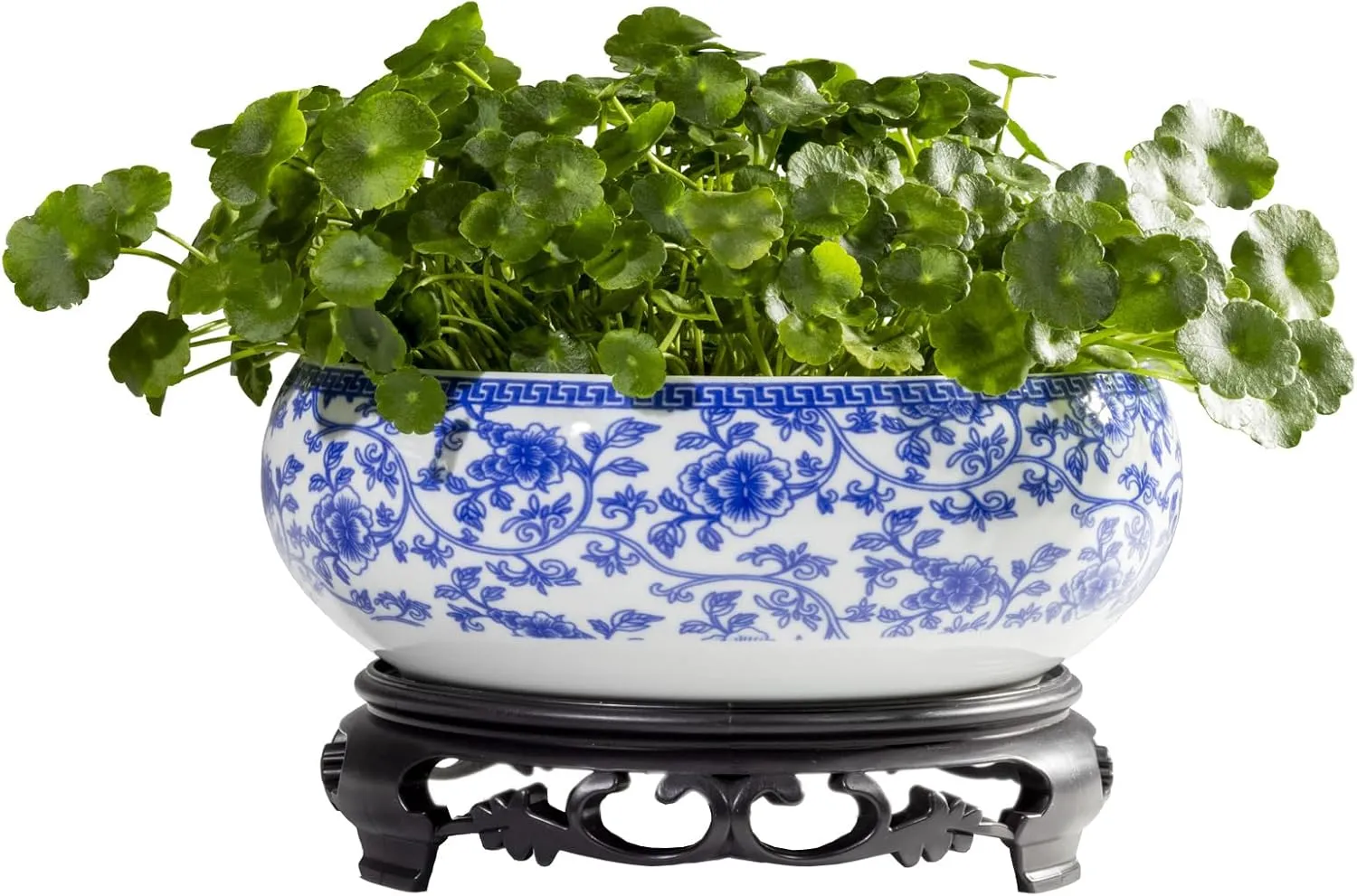 TOIVO Lotus Bowl Planter，White Ceramic Lotus Planter with Plastic Base 7.8”，Lotus Shape Hydroponic Water Lily Flower Pot