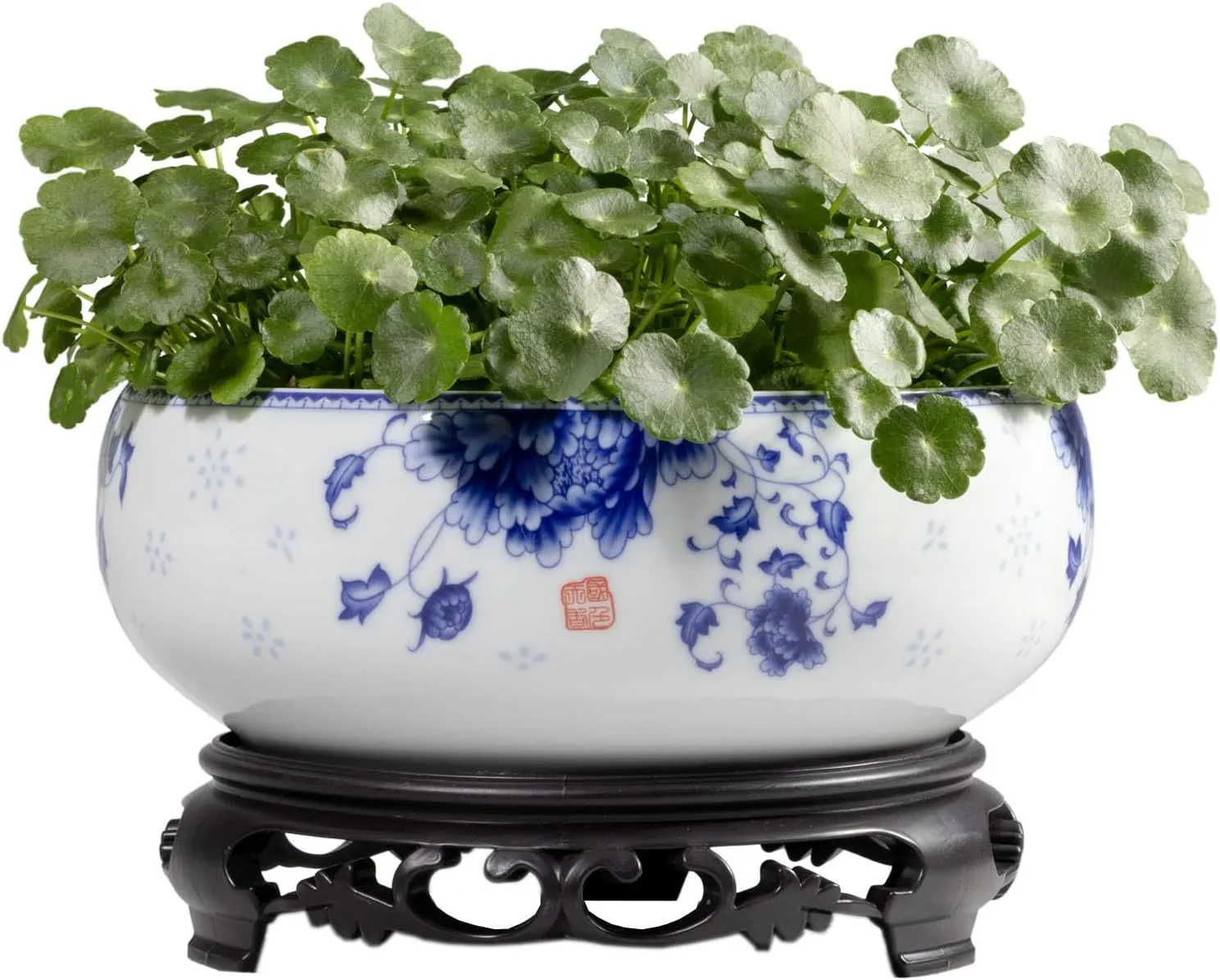 TOIVO Lotus Bowl Planter，White Ceramic Lotus Planter with Plastic Base 7.8”，Lotus Shape Hydroponic Water Lily Flower Pot