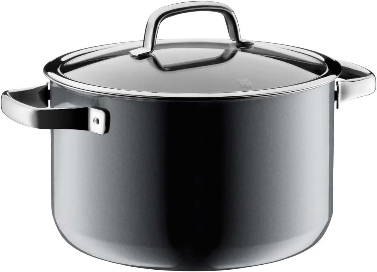 WMF W0514485290 Two-Handed Pot, 9.4 inches (24 cm), Compatible with Gas Fire, Fusion Tech Mineral High Casserole, Waterless Cooking, Platinum