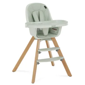 Zoodle 2-In-1 High Chair Booster Feeding Chair with Modern Design, Sage Green (Model #254)